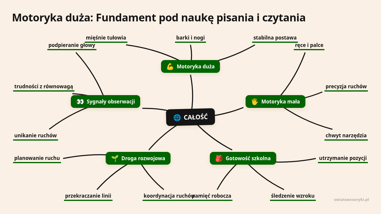 Mapa myśli: CAŁOŚĆ, gałęzie: Motoryka duża, Motoryka mała, Gotowość szkolna, Droga rozwojowa, Sygnały obserwacji